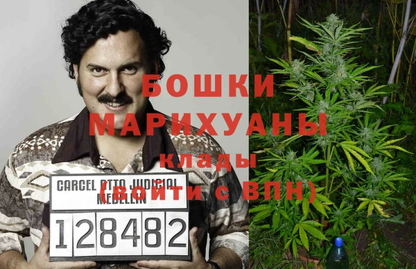 трава Алзамай