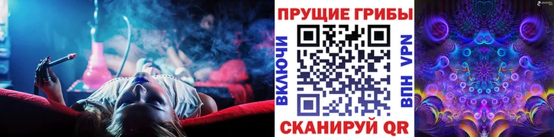 Галлюциногенные грибы Psilocybine cubensis  Карабулак 